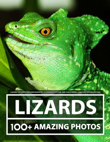 Lizard Pictures and Photography - A Lizards Picture and Photo Book - Amazing Big Collection: 100+ Amazing Pictures of Lizards in this Beautiful Lizard photo book Lizard Pictures and Photography - A Lizards Picture and Photo Book - Amazing Big Collection: 100+ Amazing Pictures of Lizards in this Beautiful Lizard photo book von Independently published