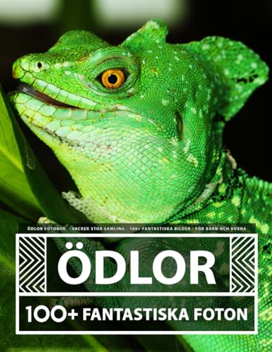 Ödlor Fotobok - Vacker Stor Samling - 100+ Fantastiska Bilder - För Barn Och Vuxna Ödlor Fotobok - Vacker Stor Samling - 100+ Fantastiska Bilder - För Barn Och Vuxna von Independently published