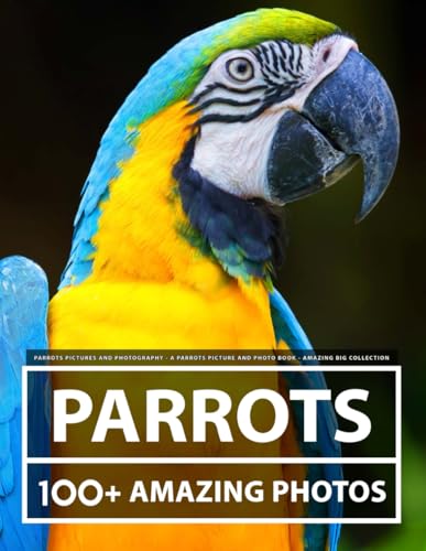 Parrot Pictures and Photography - A Parrots Picture and Photo Book - Amazing Big Collection: 100+ Amazing Pictures of Parrots in this Beautiful Parrot photo book Parrot Pictures and Photography - A Parrots Picture and Photo Book - Amazing Big Collection: 100+ Amazing Pictures of Parrots in this Beautiful Parrot photo book von Independently published