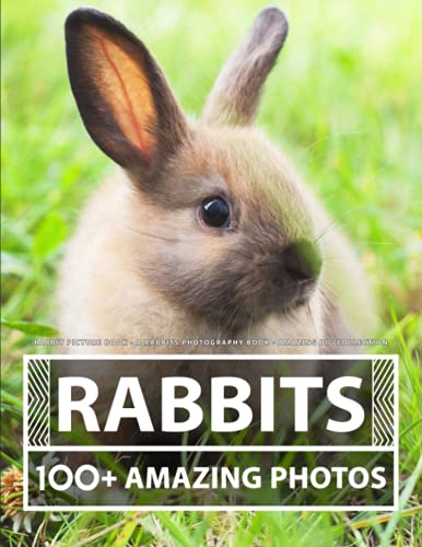 Rabbit Picture Book - A Rabbits Photography Book - Amazing Big Collection: 100+ Amazing Pictures of Rabbits in this Beautiful Rabbit photo book Rabbit Picture Book - A Rabbits Photography Book - Amazing Big Collection: 100+ Amazing Pictures of Rabbits in this Beautiful Rabbit photo book von Independently published