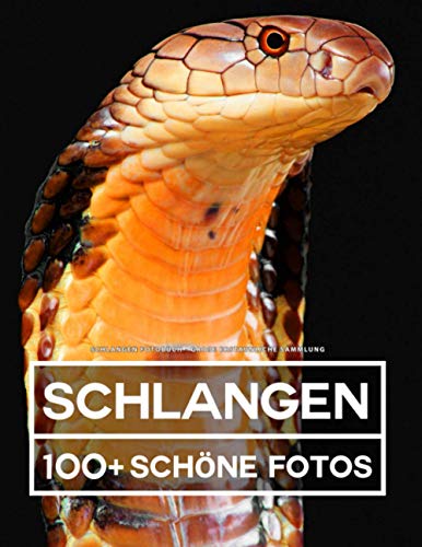 Schlangen Fotobuch - Große Erstaunliche Sammlung: 100 Wunderschöne Bildern - Für Kinder und Erwachsene von Independently published