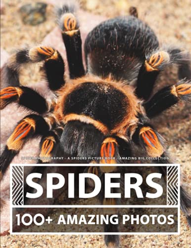 Spider Photography - A Spiders Picture Book - Amazing Big Collection: 100+ Amazing Pictures of Spiders in this Beautiful Spider photo book Spider Photography - A Spiders Picture Book - Amazing Big Collection: 100+ Amazing Pictures of Spiders in this Beautiful Spider photo book