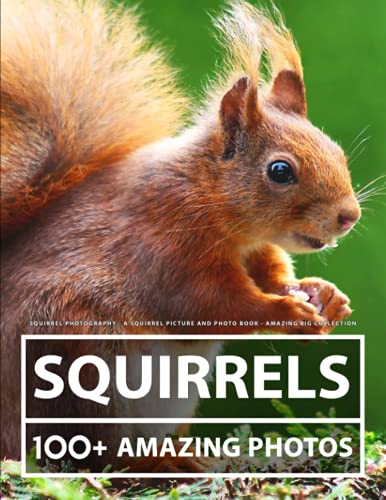 Squirrel Photography - A Squirrel Picture and Photo Book - Amazing Big Collection: 100+ Amazing Pictures of Squirrels in this Beautiful Squirrel photo book Squirrel Photography - A Squirrel Picture and Photo Book - Amazing Big Collection: 100+ Amazing Pictures of Squirrels in this Beautiful Squirrel photo book