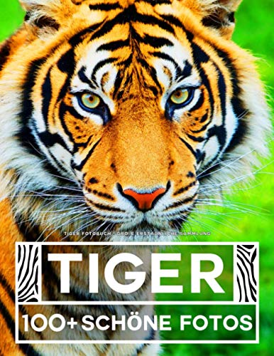 Tiger Fotobuch - Große Erstaunliche Sammlung: 100 Wunderschöne Fotos In Diesem Fantastischen Tiger Buch - Tier Fotobuch Für Kinder und Erwachsene Tiger Fotobuch - Große Erstaunliche Sammlung: 100 Wunderschöne Fotos In Diesem Fantastischen Tiger Buch - Tier Fotobuch Für Kinder und Erwachsene