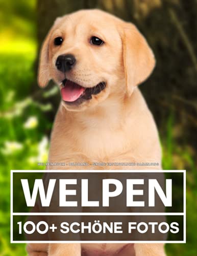Welpen Buch - Bildband - Große Erstaunliche Sammlung: 100 Wunderschöne Bildern - Für Kinder und Erwachsene Welpen Buch - Bildband - Große Erstaunliche Sammlung: 100 Wunderschöne Bildern - Für Kinder und Erwachsene von Independently published