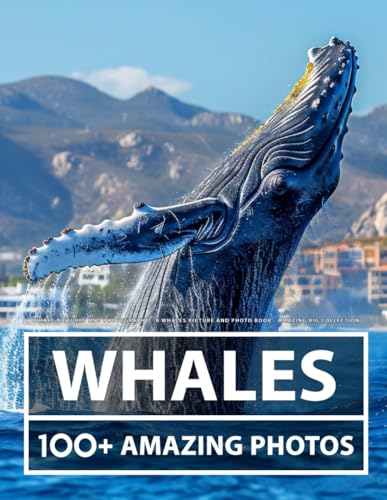 Whale Pictures and Photography - A Whales Picture and Photo Book - Amazing Big Collection: 100+ Amazing Pictures of Whales in this Beautiful Whale photo book Whale Pictures and Photography - A Whales Picture and Photo Book - Amazing Big Collection: 100+ Amazing Pictures of Whales in this Beautiful Whale photo book von Independently published