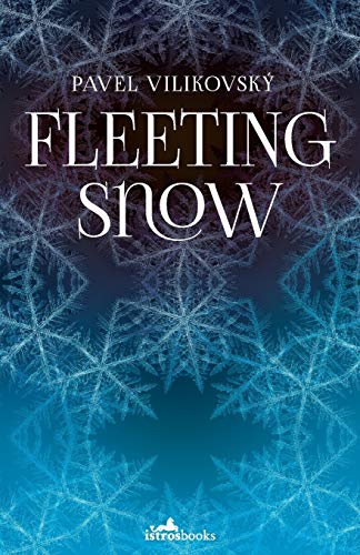 Fleeting Snow