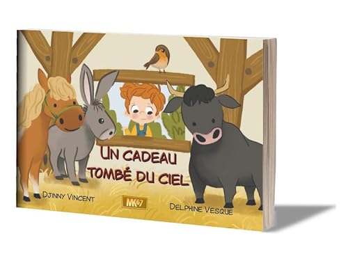 Un cadeau tombé du ciel (LIVRE SOUPLE) von MK67 KAMISHIBAI