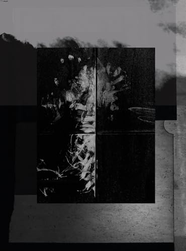 One Millimeter of Black Dirt and a Veil of Dead Cows von André Frère