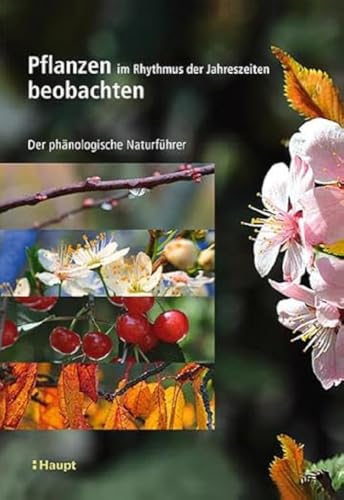 Pflanzen im Rhythmus der Jahreszeiten beobachten: Der phänologische Naturführer