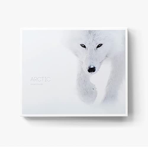 Arctic