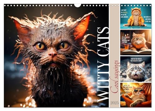 WITTY CATS Cool sayings (Wall Calendar 2025 DIN A3 landscape), CALVENDO 12 Month Wall Calendar: Cute furry friends with amusing quips