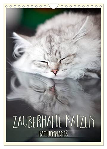 Zauberhafte Katzen - Familienplaner (Wandkalender 2024 DIN A4 hoch), CALVENDO Monatskalender von CALVENDO