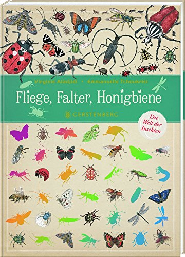 Fliege, Falter, Honigbiene: Die Welt der Insekten von Gerstenberg Verlag