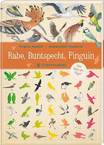 Rabe, Buntspecht, Pinguin: Die Welt der Vögel