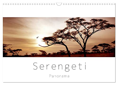Serengeti Panorama (Wandkalender 2025 DIN A3 quer), CALVENDO Monatskalender von CALVENDO