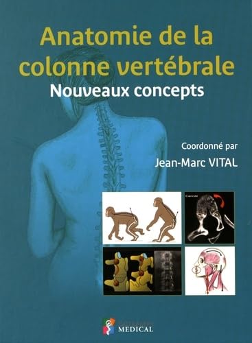 Anatomie De La Colonne Vertébrale: Nouveaux Concepts