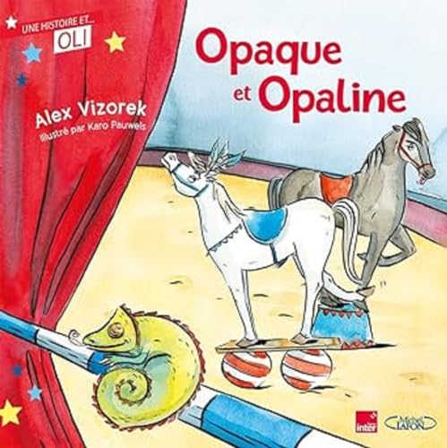 OLI - Opaque et Opaline - Nouvelle édition OLI - Opaque et Opaline - Nouvelle édition von MICHEL LAFON