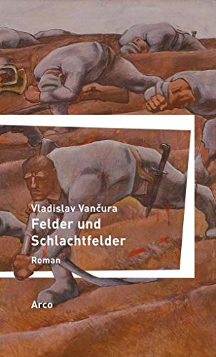 Felder und Schlachtfelder: Roman