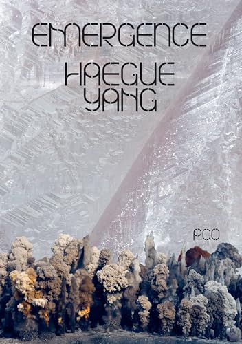Haegue Yang: Emergence von Prestel Publishing