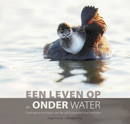 Een leven op en onder water: gedrag en ecologie van de vijf Europese futensoorten (Vogelfamilies, 1) von PiXFACTORY