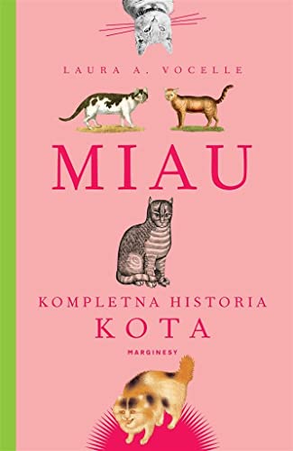 eko (Miau Kompletna historia kota)