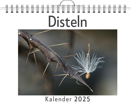 Disteln - (Wandkalender 2025, Kalender DIN A4 quer, Monatskalender im Querformat mit Kalendarium, das perfekte Geschenk) von FlipFlop