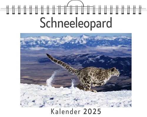 Schneeleopard - (Wandkalender 2025, Kalender DIN A4 quer, Monatskalender im Querformat mit Kalendarium, das perfekte Geschenk) von FlipFlop