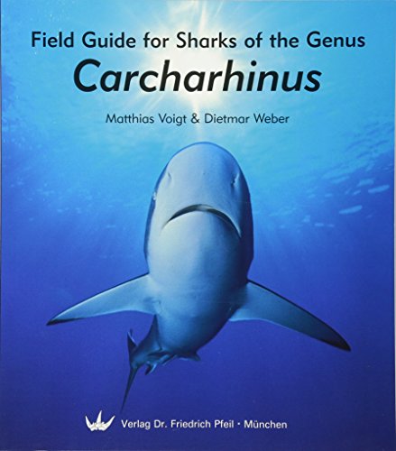 Field Guide for Sharks of the Genus Carcharhinus