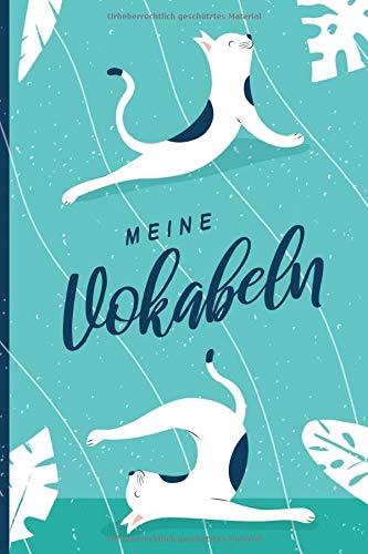 Meine Vokabeln: Vokabelheft mit Katzen. 2 Spalten. 120 Seiten für Vokabeln mit schönem Design. Zweispaltig mit Soft Cover 6x9 Zoll, ca. DIN A5 15x22cm.
