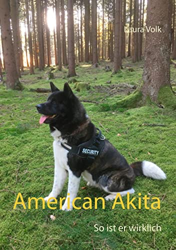 American Akita: So ist er wirklich