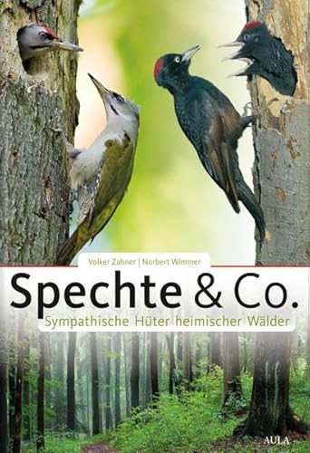 Spechte & Co.: Sympathische Hüter heimischer Wälder