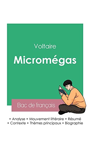 Réussir son Bac de français 2023: Analyse de Micromégas de Voltaire von Bac de Francais