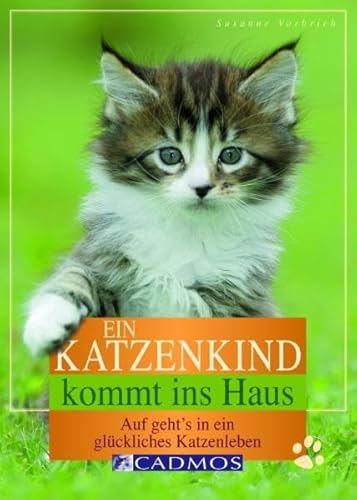 Ein Katzenkind kommt ins Haus: Auf geht's in ein glückliches Katzenleben (Cadmos Katzenpraxis)