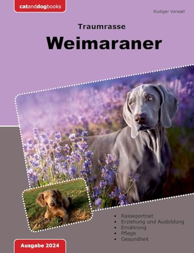 Traumrasse: Weimaraner