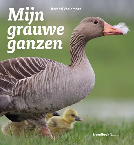 Mijn grauwe ganzen von Noordboek