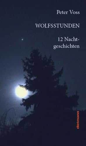 Wolfsstunden: 12 Nachtgeschichten