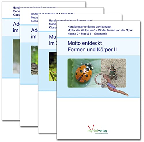 Paket: Matto Lernstufe 2 inkl. Geometrie: Module 1 bis 4