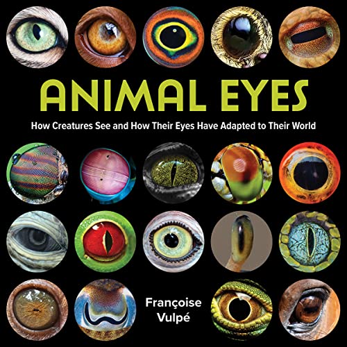 Animal Eyes: How Creatures See and How Their Eyes Have Adapted to Their World von Firefly Books Ltd