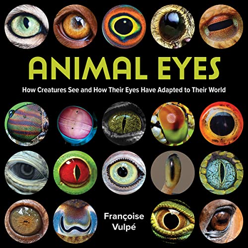 Animal Eyes: How Creatures See and How Their Eyes Have Adapted to Their World von Firefly Books
