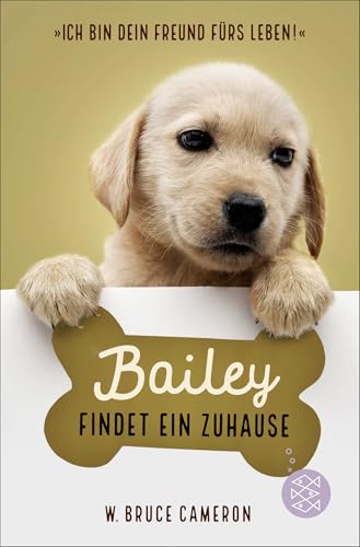 Bailey findet ein Zuhause von FISCHERVERLAGE