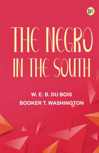 The Negro in the South von Zinc Read