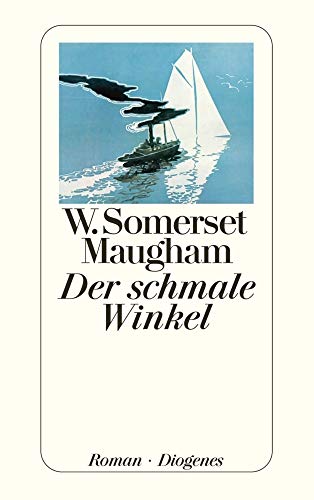 Der schmale Winkel: Roman (detebe)