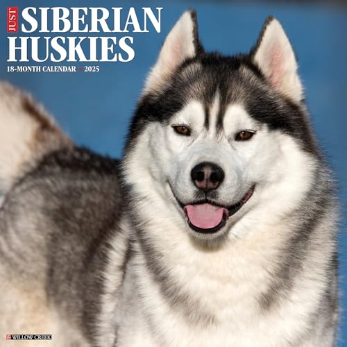 Just Siberian Huskies 2025 12 X 12 Wall Calendar Just Siberian Huskies 2025 12 X 12 Wall Calendar