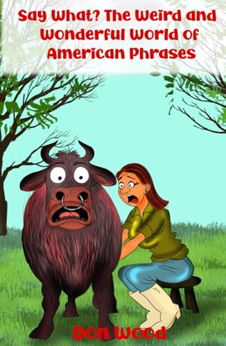 Say What? The Weird and Wonderful World of American Phrases von Ghostwriting Mentors