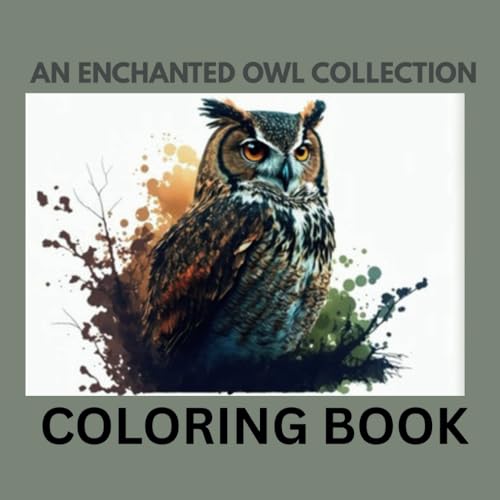 AN ENCHANTED OWL COLLECTION COLORING BOOK AN ENCHANTED OWL COLLECTION COLORING BOOK von Independently published