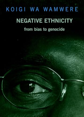 Negative Ethnicity: From Bias to Genocide (Open Media Series)
