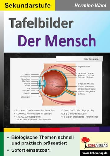 Tafelbilder Der Mensch: Biologische Themen schnell und praktisch präsentiert von Kohl Verlag