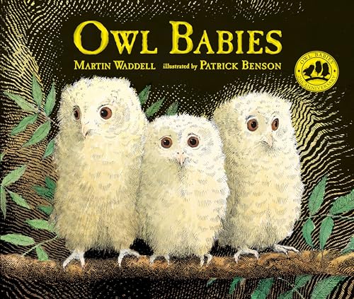 Owl Babies Owl Babies