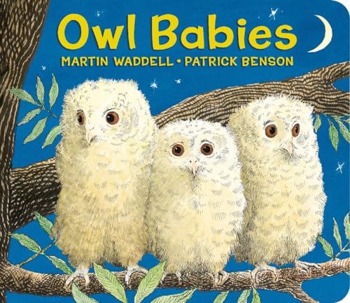 Owl Babies